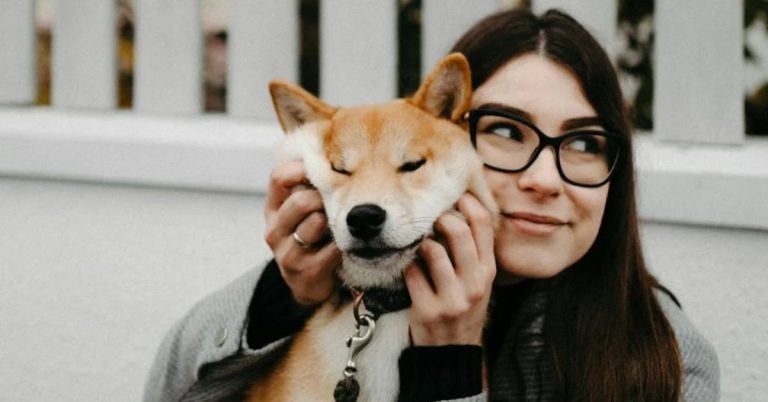 15 Things About Shiba Inu Dogs Every Owner Must Know