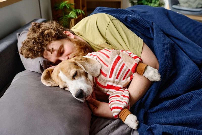The Comfort Factor: Why Many Pet Owners Say 'Yes'