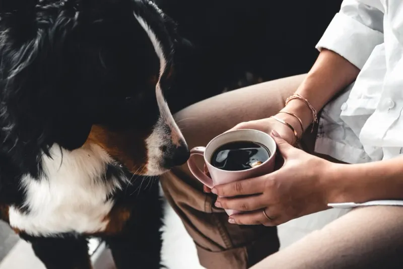 Caffeine (coffee, tea, energy drinks)
