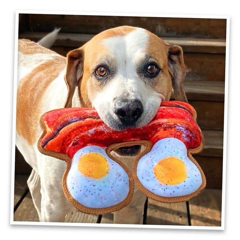 Chew Toys and Bones