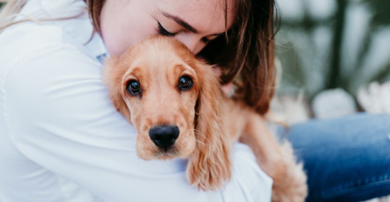 10 Emotional Reactions You Can Expect From a Rescued Dog
