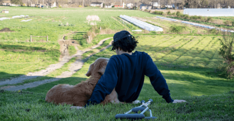 10 Heartwarming Ways Dogs Show Love Without Saying a Word