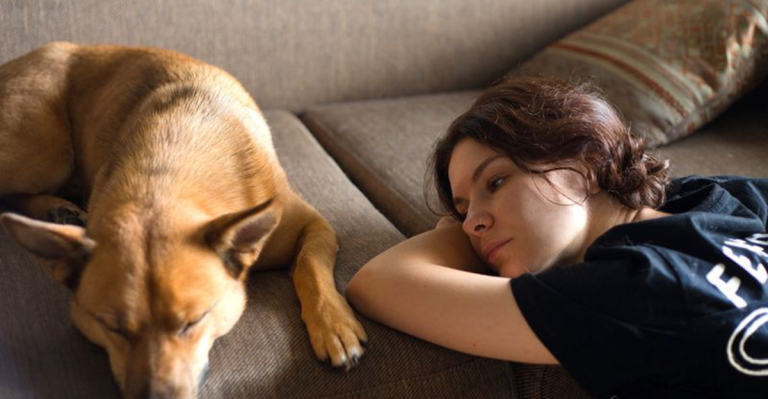 10 Simple Rules of Loving an Emotionally Distant Dog
