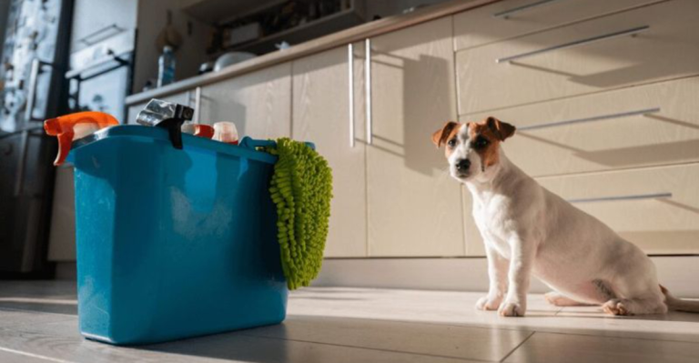 10 Smells that Dogs Hate (And 7 They Absolutely Love)
