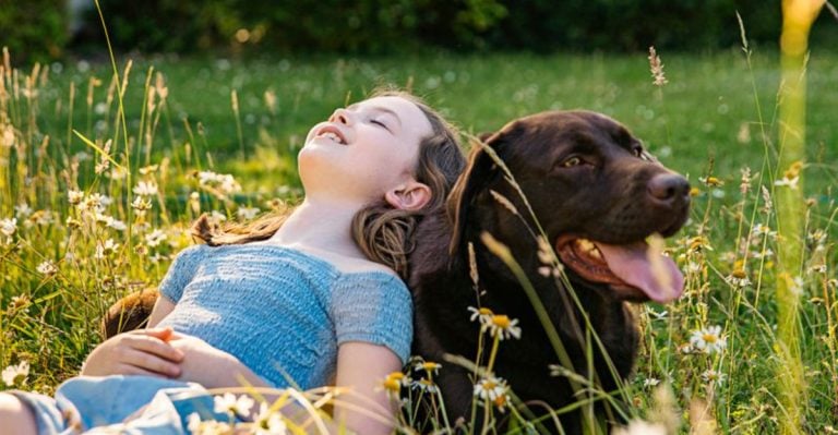 10 Dog Breeds Vets Advise Against Owning (And 10 They Always Recommend)