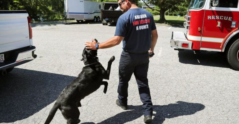 10 Incredible Things Your Dog Can Sniff Out That You’d Never Notice