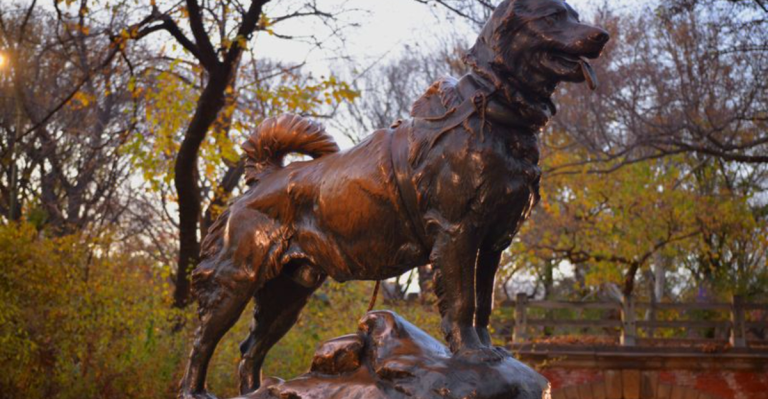 11 Real Moments In History When Dogs Showed They Were More Than Just Pets
