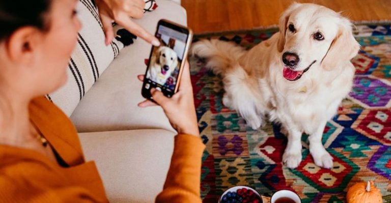 11 Things No One Tells You About Fostering a Dog (But Should)