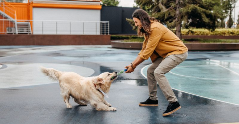 12 Smart Ways to Calm an Aggressive Dog (Backed by Experts)