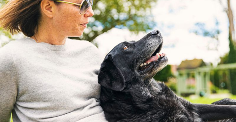 12 Subtle Shifts in Your Dog’s Behavior That Signal Real Trust