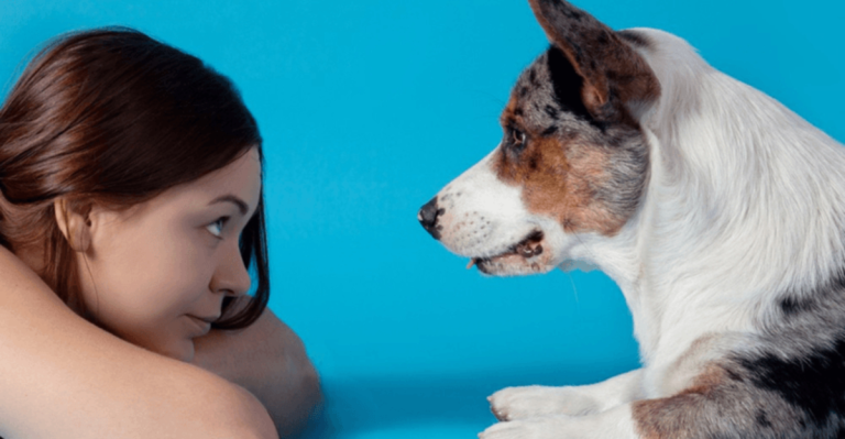 12 Ways Dogs Read And Respond To Human Behavior