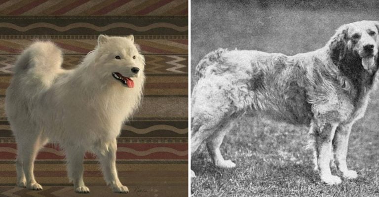 12 Dog Types That No Longer Roam The Earth