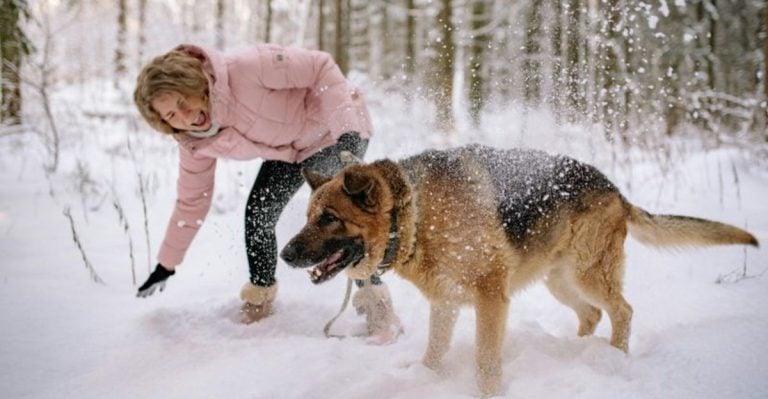 12 Things Your Dog Will Never Forget About How You Treat Them