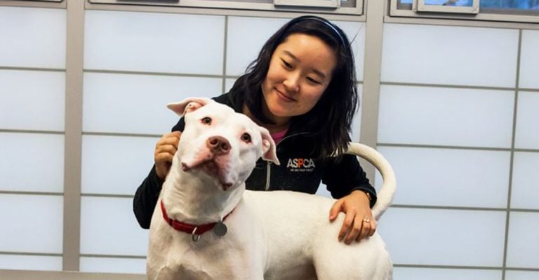 12 Ways You’re Accidentally Making Your Dog’s Anxiety Worse