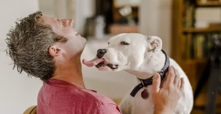 13 Dogs with the Most Loving Personalities