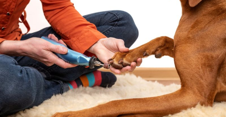 13 Genius Tricks to Make Trimming Your Dog’s Nails Way Less Stressful