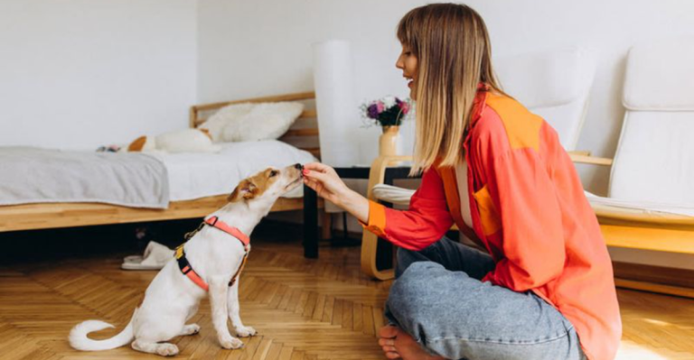 13 Little Things That Mean the World to Your Dog And Are Easy to Do