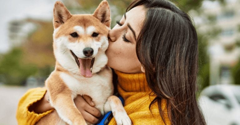 13 Simple Ways to Deepen the Love Between You and Your Dog