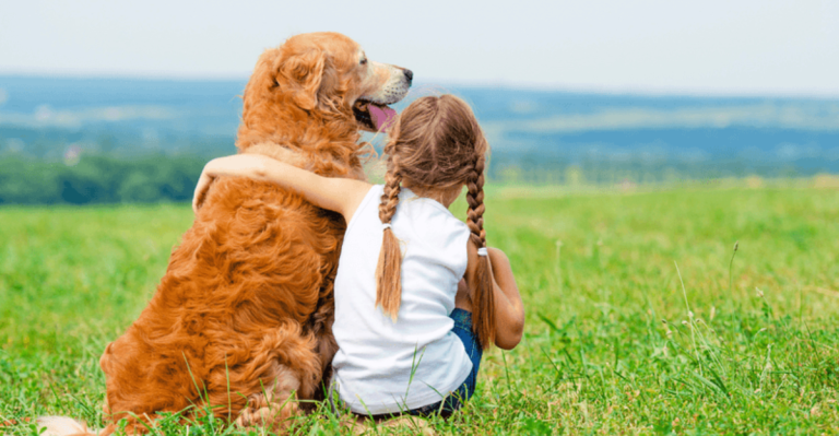 14 Dog Breeds That Bond With Humans Like Their Own Pack