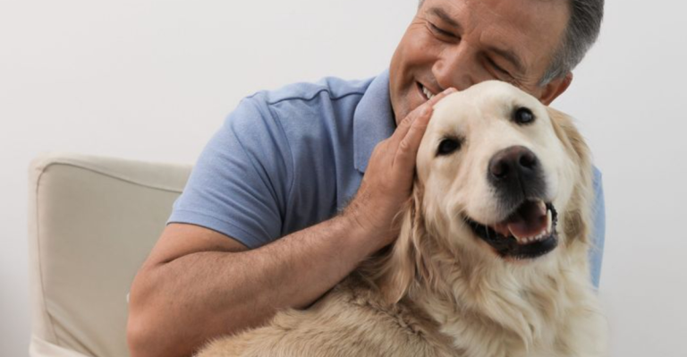 14 Most Loyal Dog Breeds in the World