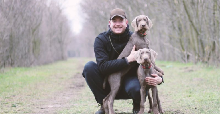 15 Stunning Pointing Dogs You’ll Want to See in Action