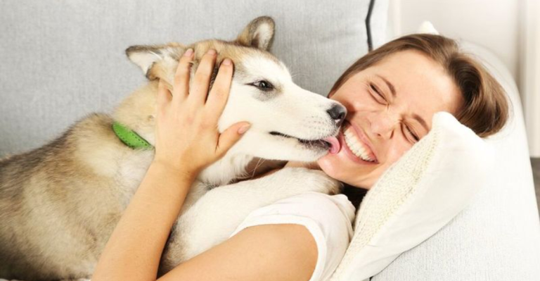 15 Things Dogs Remember Forever