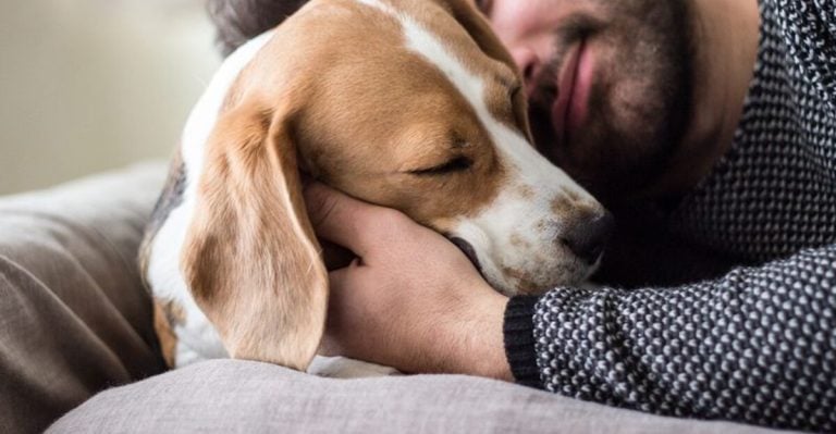 15 Comforting Things Your Late Dog Wants You To Remember
