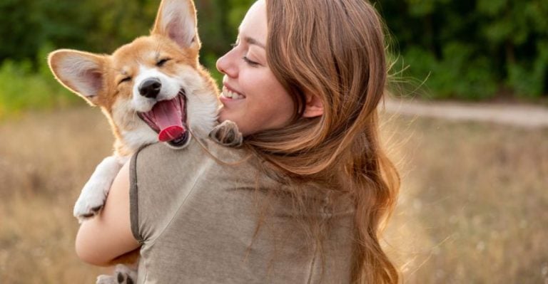 15 Heartfelt Ways Dogs Remind Us What It Means to Be Loved Without Limits