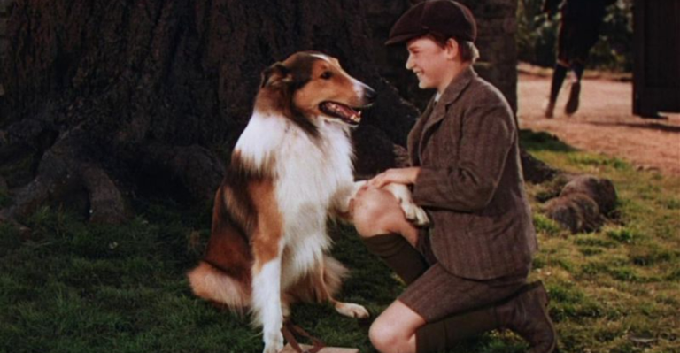 17 Movie Dogs That Stole Our Hearts (and the Spotlight)