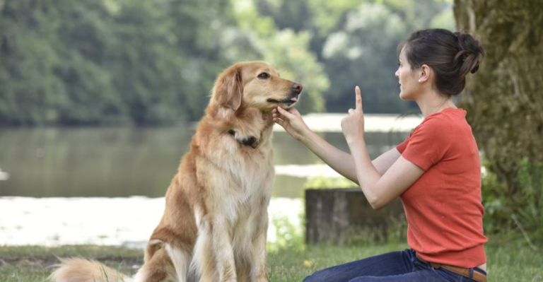 18 Common Dog Training Mistakes (And Exactly How to Fix Them)