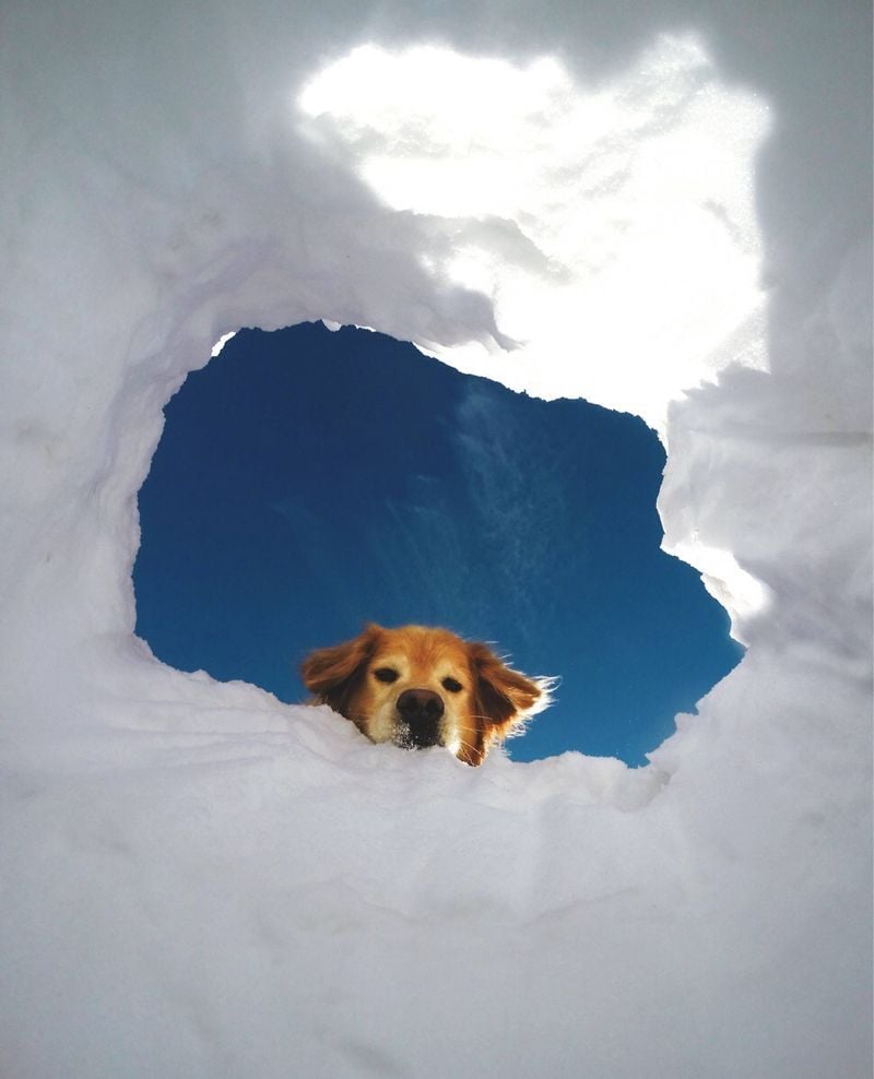 I'm Watching Over You