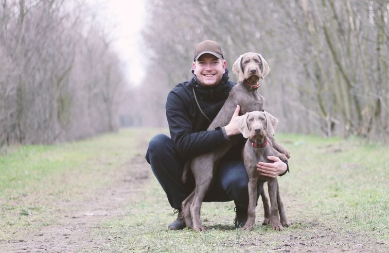 Slovakian Rough Haired Pointer (Slovakia)