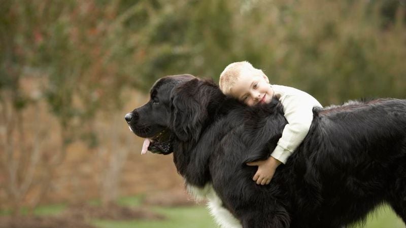 Newfoundland
