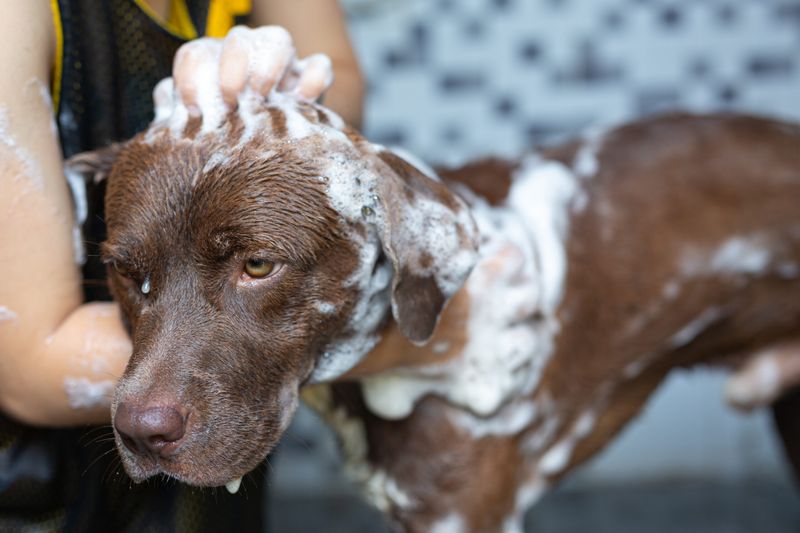 Bathing Too Often