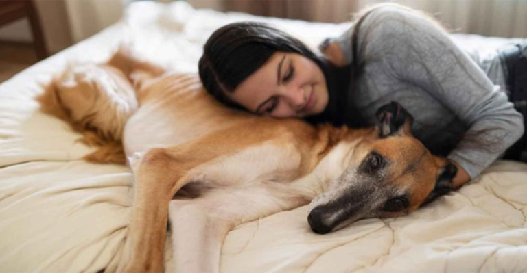 20 Things You Can Do to Make Your Dog’s Life More Comfortable as They Age