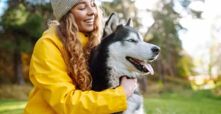 20 Things Only Husky Owners Will Truly Understand