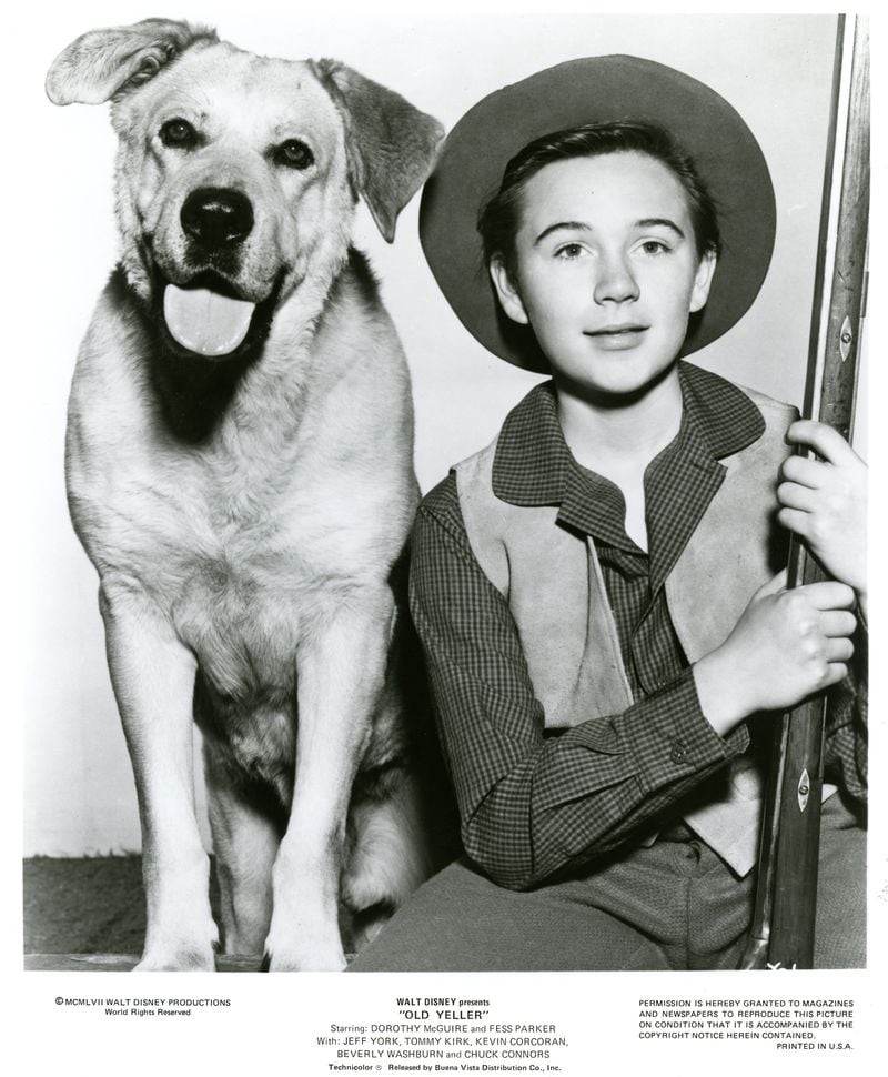 Old Yeller – Old Yeller (1957)