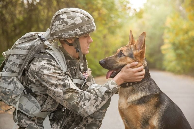Scout and Patrol Partners