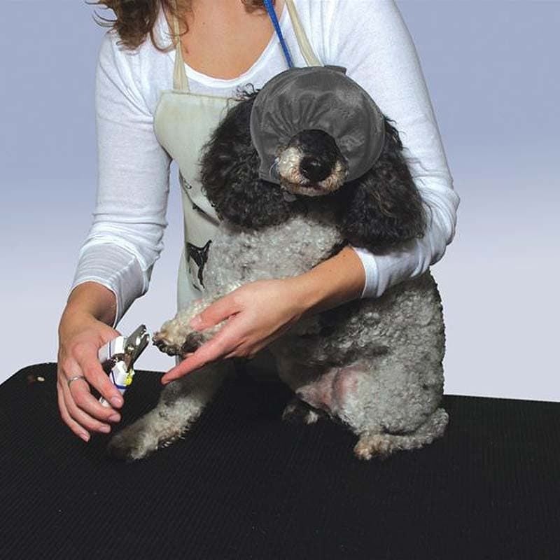 Use Calming Aids