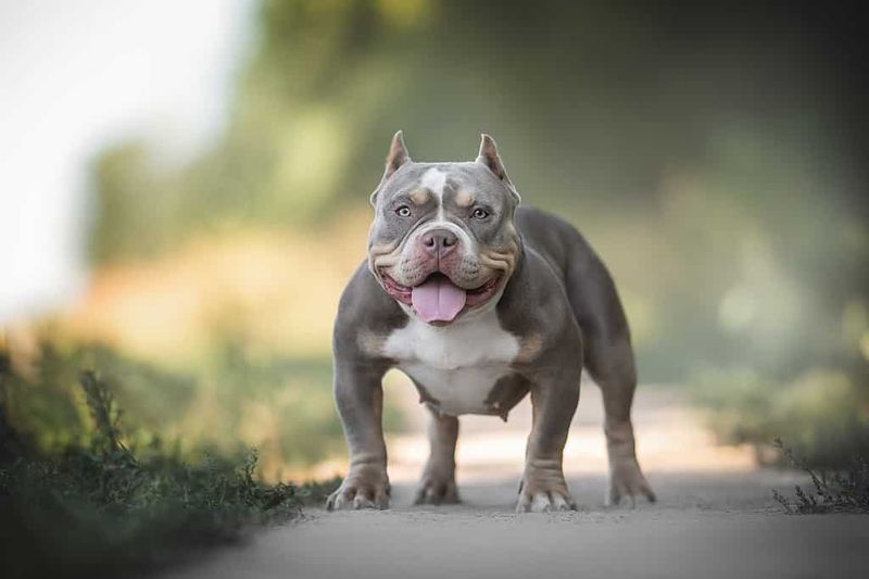 Smart and Eager to Learn