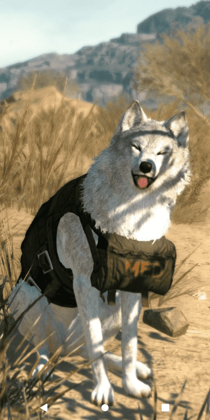 DD (Diamond Dog) – Metal Gear Solid V