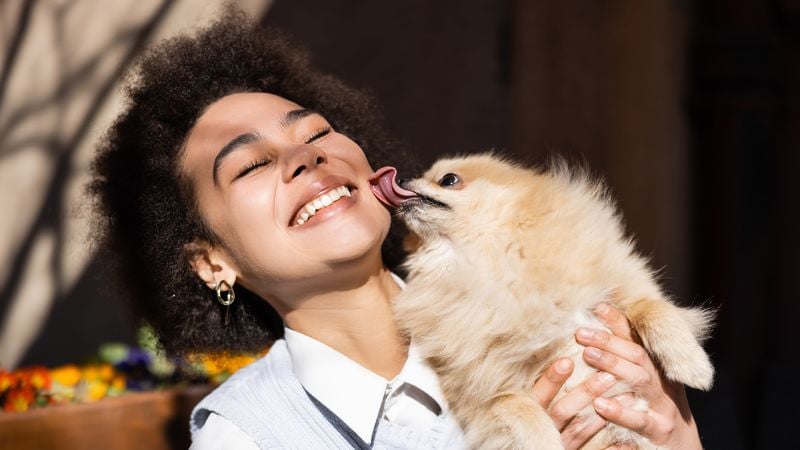 Why Your Dog Licks You Constantly