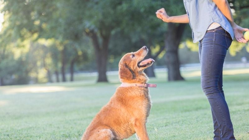 Eager Training Participation Builds Confidence