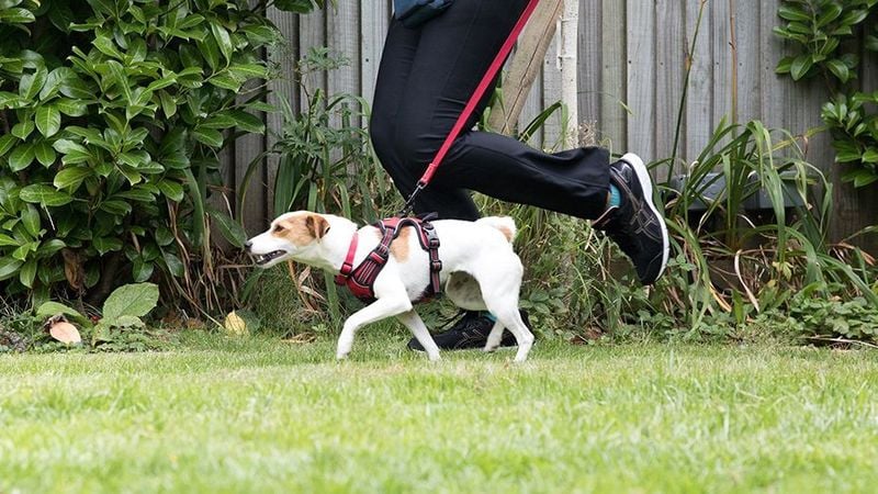 Daily Exercise Keeps Bodies Strong