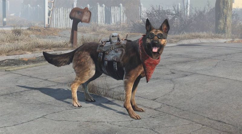 Dogmeat (Fallout Series)