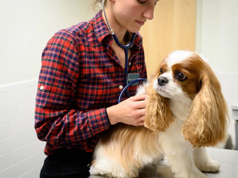 Health Concerns That Can Break Hearts (and Banks)