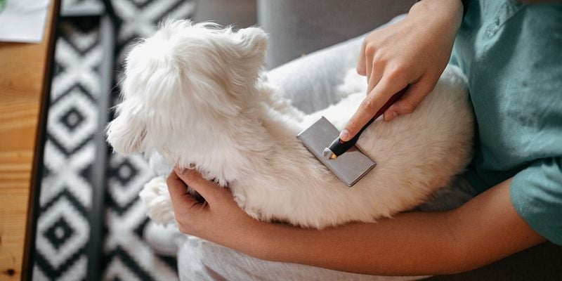 Grooming Routines Matter