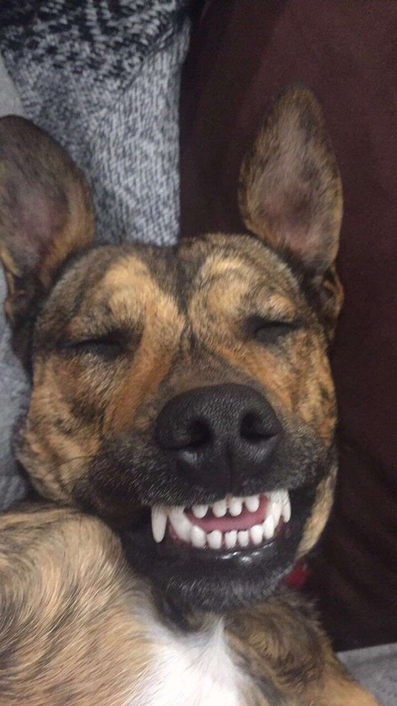 A Constant Source of Laughter