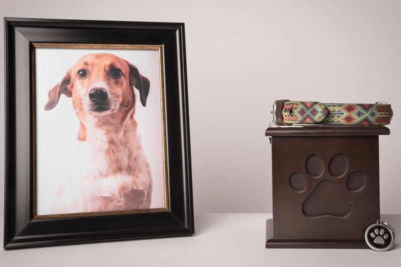 Unexplainable Barking or Whining on Baby Monitors or Cameras