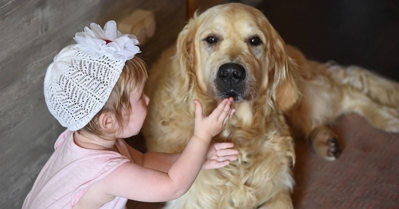 Kid-Friendly Companions